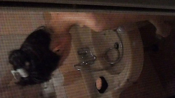 Сексуальный австралийский малыш получает лесбийский оргазм